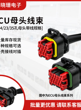 EUC插头带线 安普插头汽车防水连接器 8孔/14孔/23孔/35孔插头
