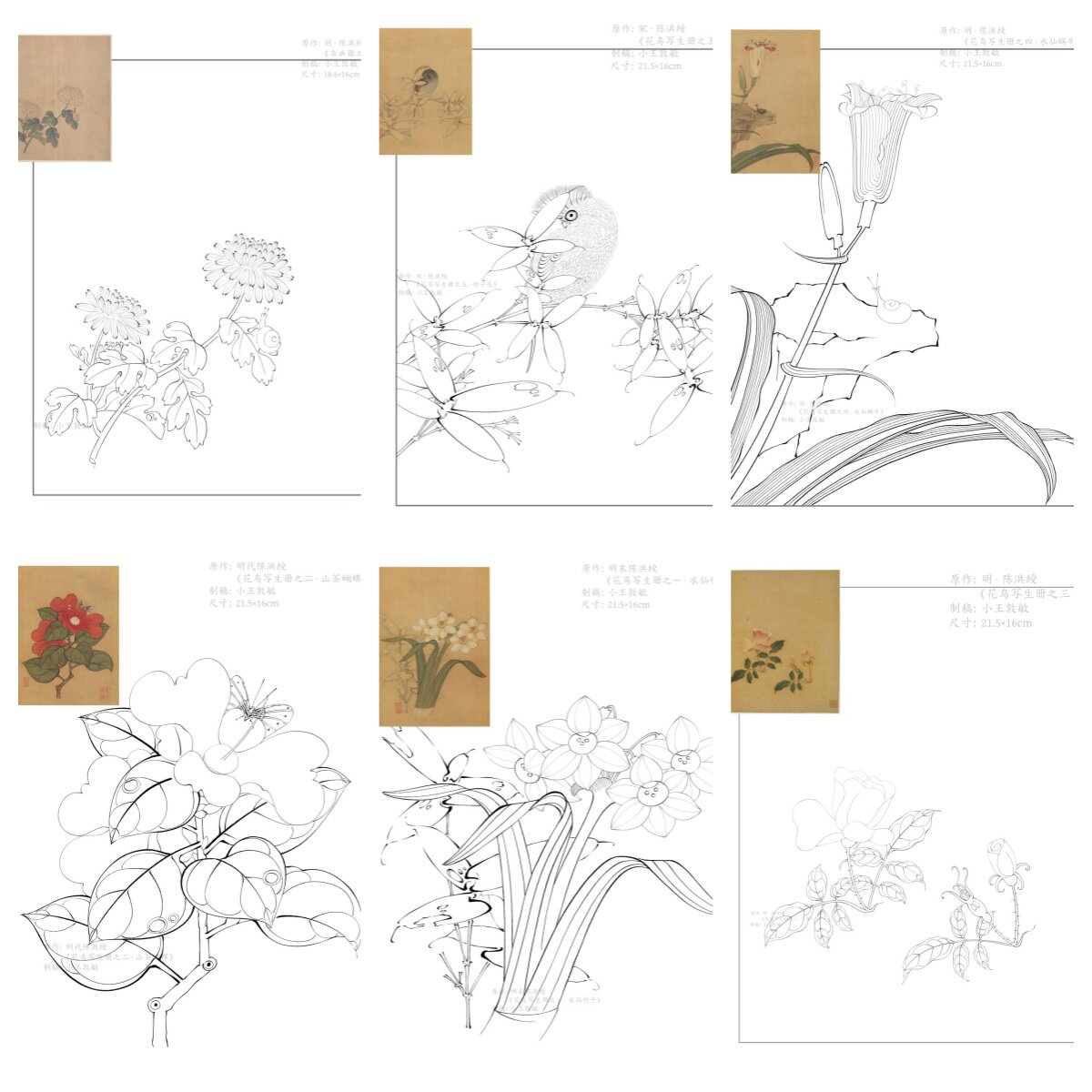 明代陈洪绶花鸟白描8幅合集/国画工笔花鸟写生册杂画册线稿电子版