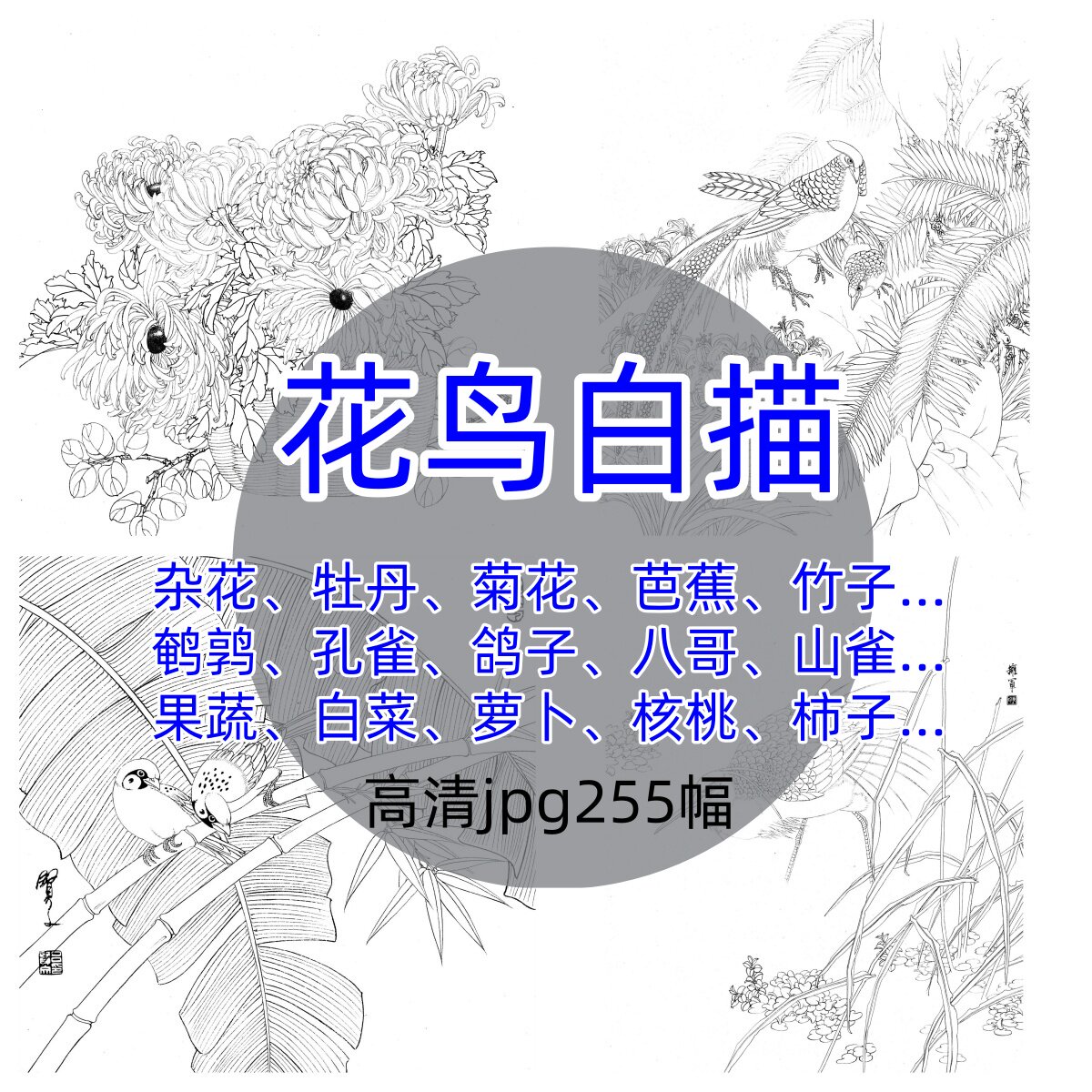花鸟白描杂花图册/高清线描底稿工笔初学临摹电子版图片打印勾线