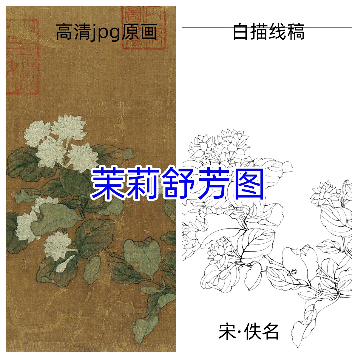 宋代茉莉舒芳图/高清彩图+白描线稿古风绘画素材工笔花鸟临摹学习