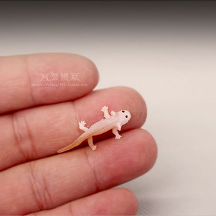 微景观动物模型散货 静态袖珍六角恐龙鱼钝口螈微缩迷你摆件