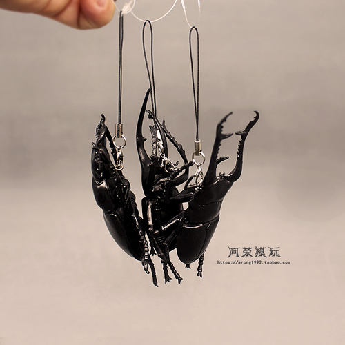 日单生物图鉴仿真昆虫摆件玩具