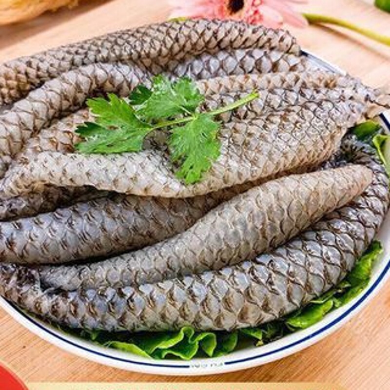 原味鱼皮5斤水发冷冻火锅餐饮半成品凉拌菜