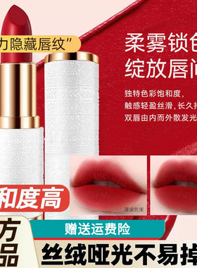 正品YZS口红绒雾丝柔不沾杯不掉色雾面保湿烙色持久学生显白