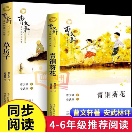 青铜葵花正版曹文轩纯美小说系列全集儿童文学获奖作品草房子小学生三四五六年级下册必读课外阅读书籍完整版原著正版适合8-12岁