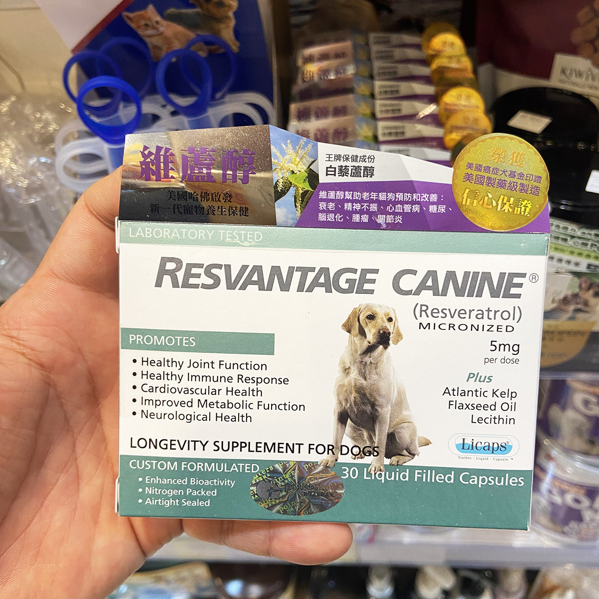 狗狗用白藜芦醇抗衰老肿瘤关节炎
