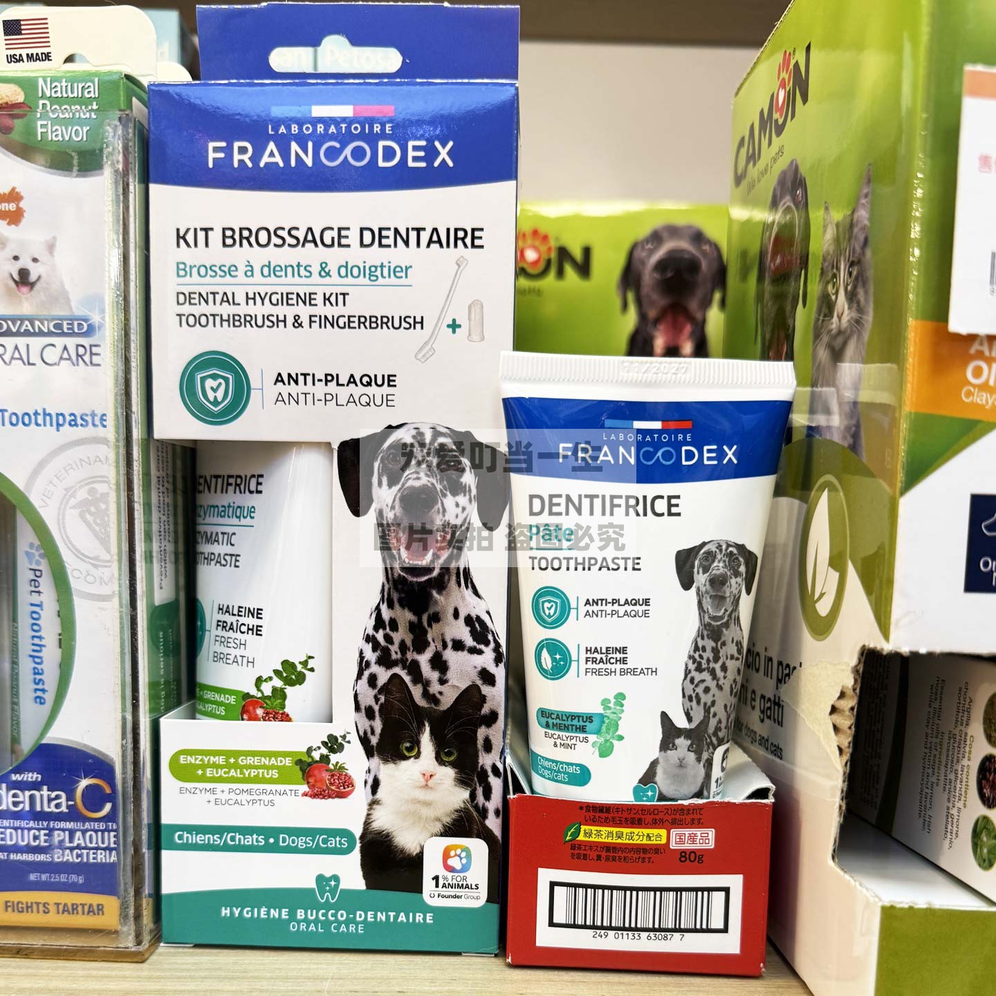 法国Francodex犬狗用牙刷套装