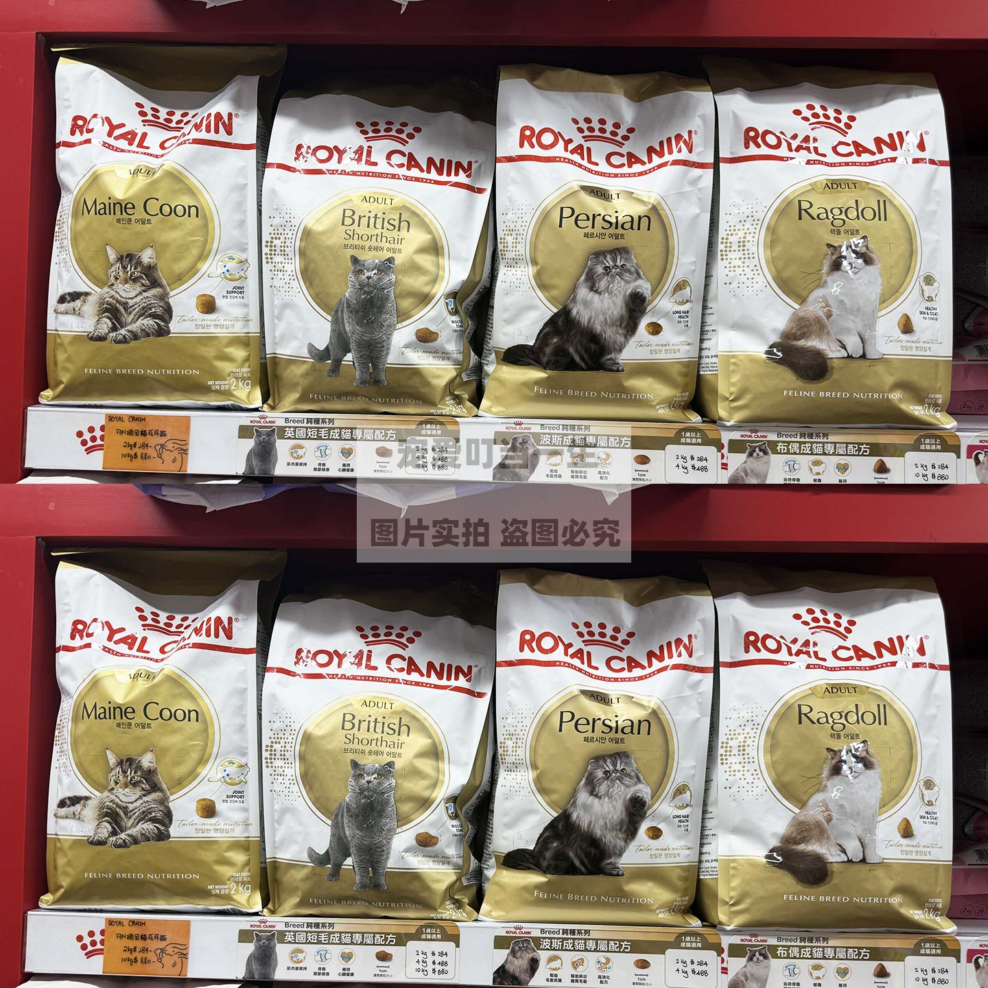 法国ROYAL CANIN皇家进口 纯种系列猫粮波斯英短布偶豹成猫粮 2kg