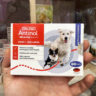 港购 Antinol 狗关节护理EAB277 退化性关节炎 加强版软骨素 60粒