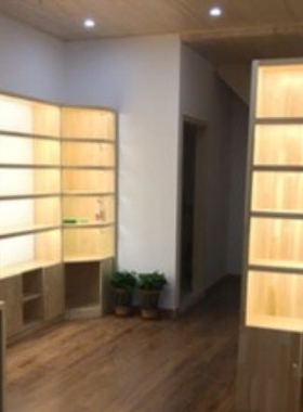 免驱动220V灯条灯管带吸铁石固定配对插头货架展柜鞋服店专用照明