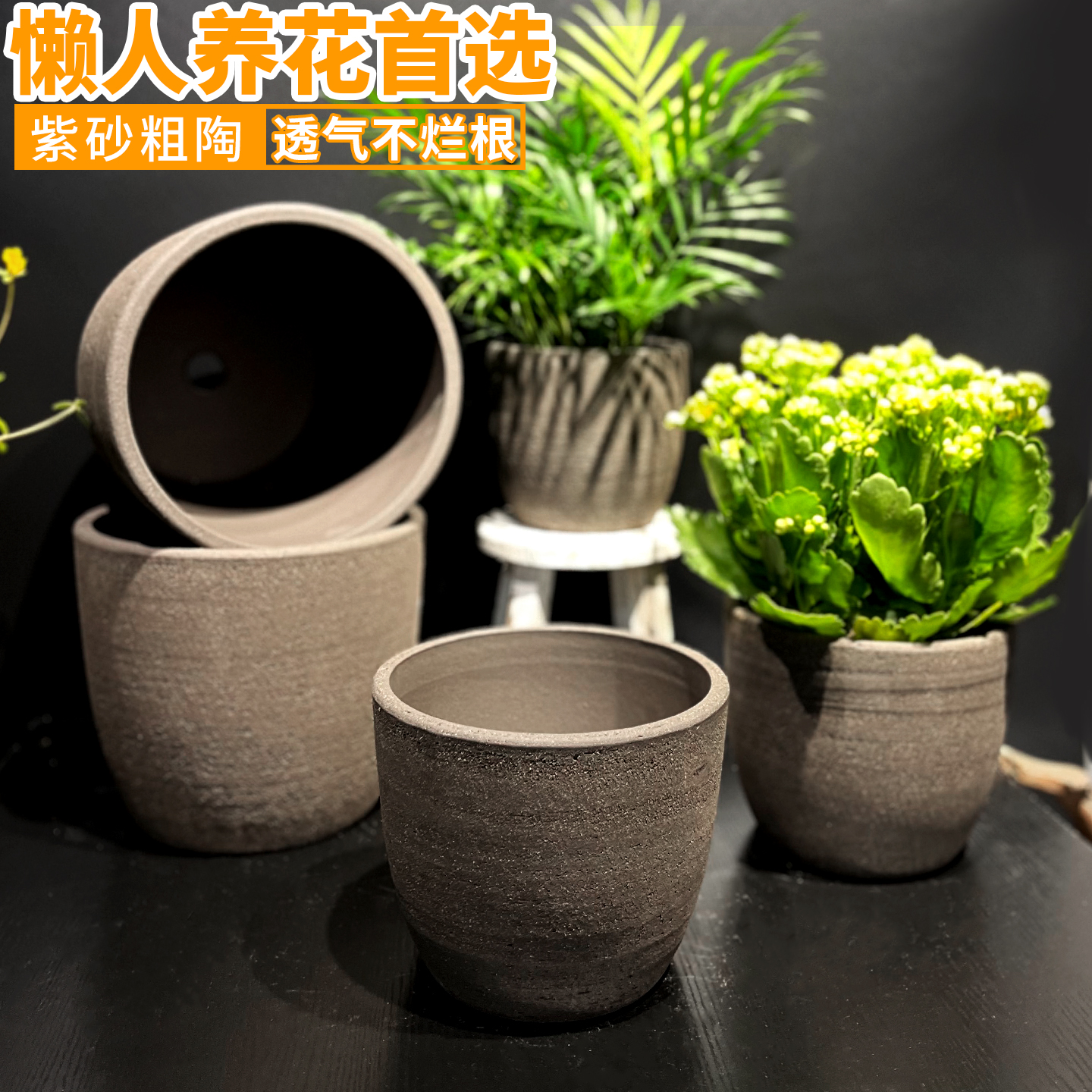 紫砂粗陶花盆君子兰花无釉透气