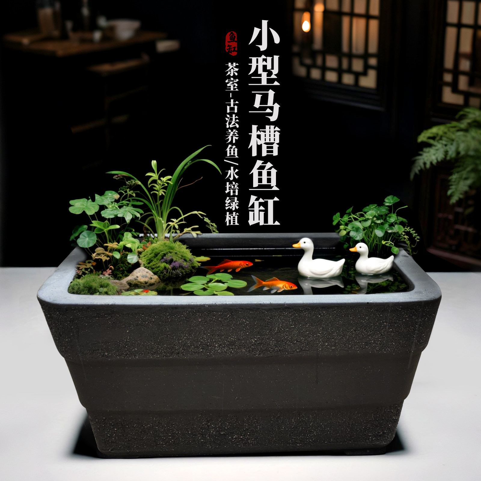 新品紫砂马槽鱼缸古法养鱼荷花水培绿植造景庭院书房办公桌室内外