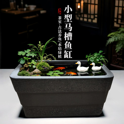 紫砂马槽鱼缸古法养鱼荷花水培绿