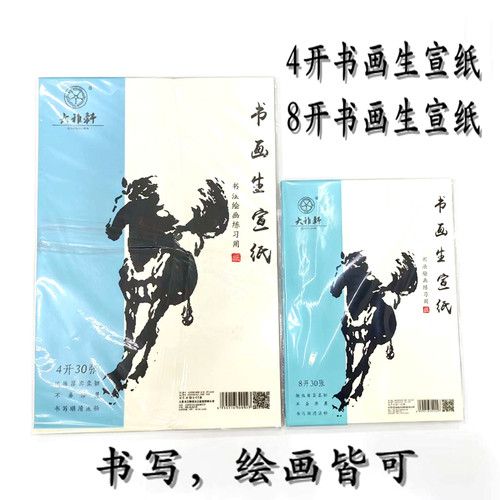 大雅轩书画生宣纸4开8开书画生宣纸 书法生宣纸 4K8K中国画生宣纸