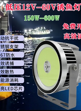 LED高效诱鱼灯12V24V36V48V60V专用聚鱼灯鱿鱼灯海钓吹筒青光灯