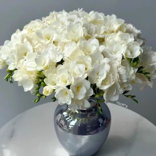 小鱼儿歌露白香雪兰云南优选鲜切花昆明基地直发家用插花节日花束