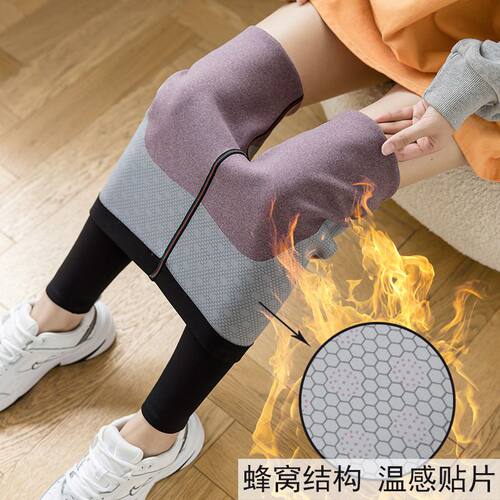 加绒绒加厚鲨鱼裤大码打底裤女
