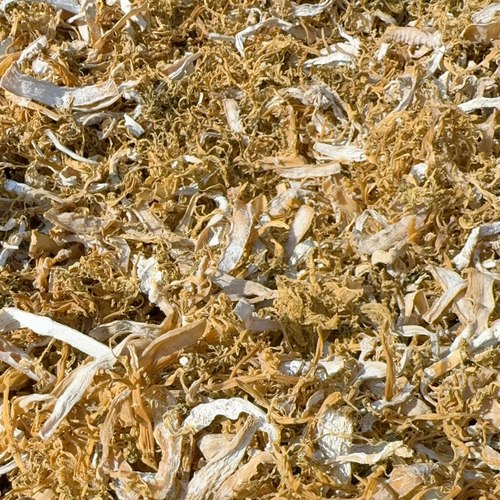 正宗绍兴特产笋干梅干菜鲜嫩无沙