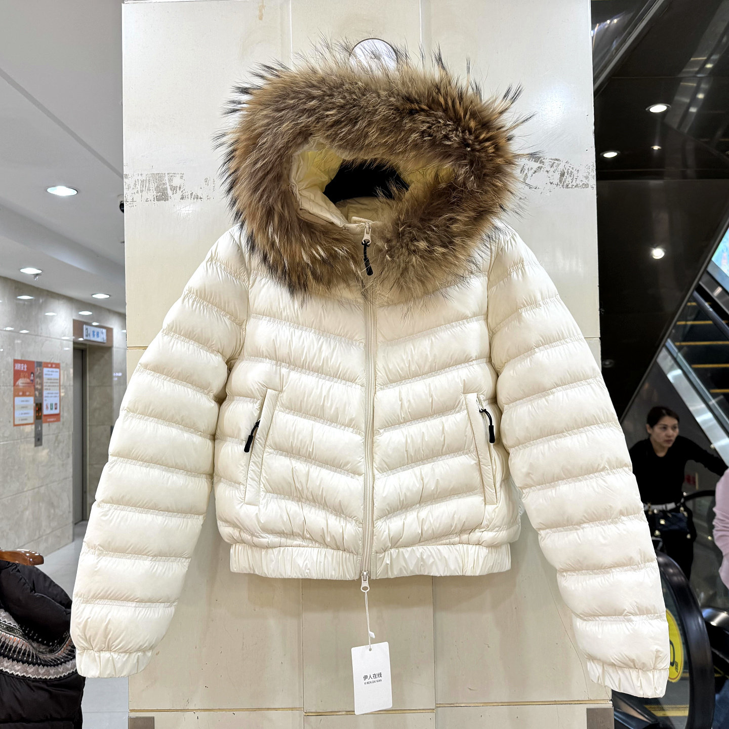 33-6615 时尚束腰排骨条貉子毛连帽减龄短装羽绒服外套欧货冬装