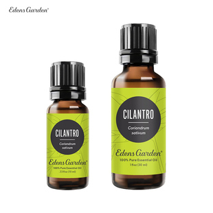 芫荽 Edens Cilantro 伊甸园 积极情绪芳香疗法单方精油 Garden