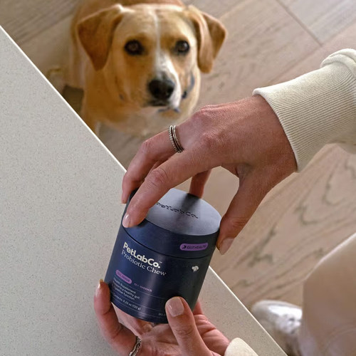 PetLabCo-Probiotics for dogs呵护肠道和消化系统健康狗狗益生菌