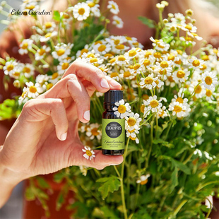 Garden 柠檬桉 伊甸园 Eucalyptus 明亮振奋单方精油 Lemon Edens