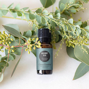 Mint 美国伊甸园Balm Bush薄荷丛提神醒脑单方精油 Garden Edens