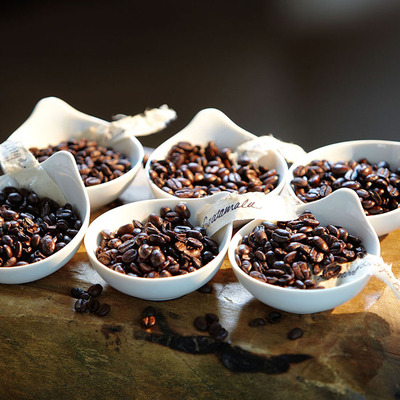 西雅图密封分装试尝peets咖啡豆