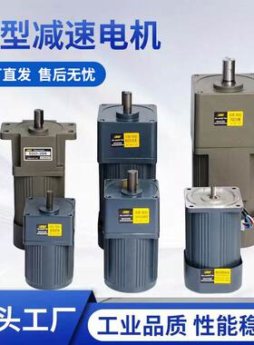 OPG齿轮减速电机微型调速电动马达交流220V流水线 6-120-250-400W