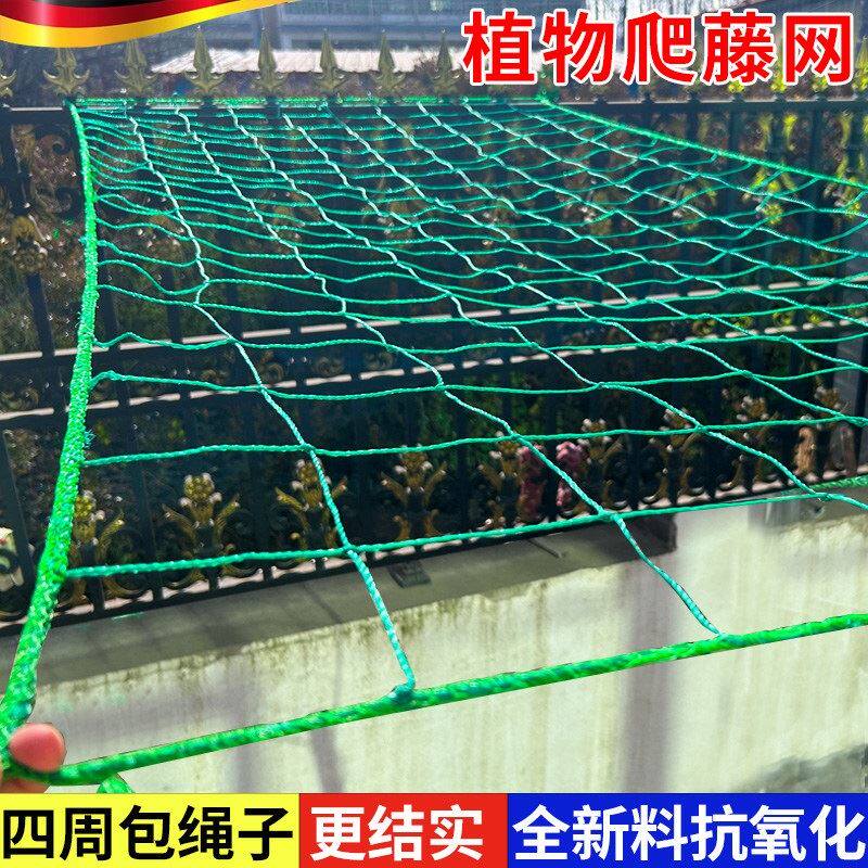 植物爬藤网攀援网园艺搭架网月季藤蔓花卉瓜果丝瓜苦瓜攀爬种植网
