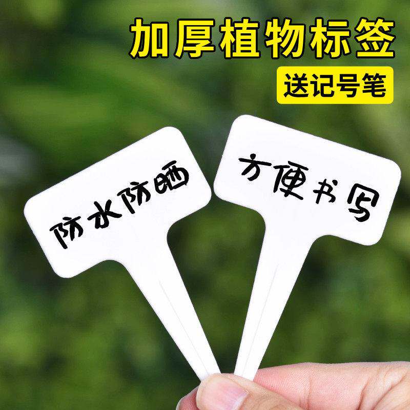 多肉标签T型防水1字型插牌园艺植物花卉塑料标记标识牌小标注神器