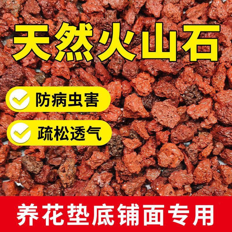 免洗天然火山石颗粒养花多肉营养土兰花铺面用植料精筛洗拌土垫底