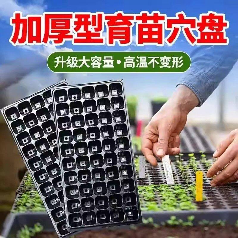 育苗盘穴盘育苗盆育苗杯育苗盒玉米育苗专用盘西瓜育苗盘穴盘苗盘