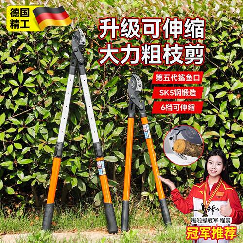 德国剪枝剪刀修枝果树专用园艺剪修剪神器省力修大枝强力粗枝剪刀