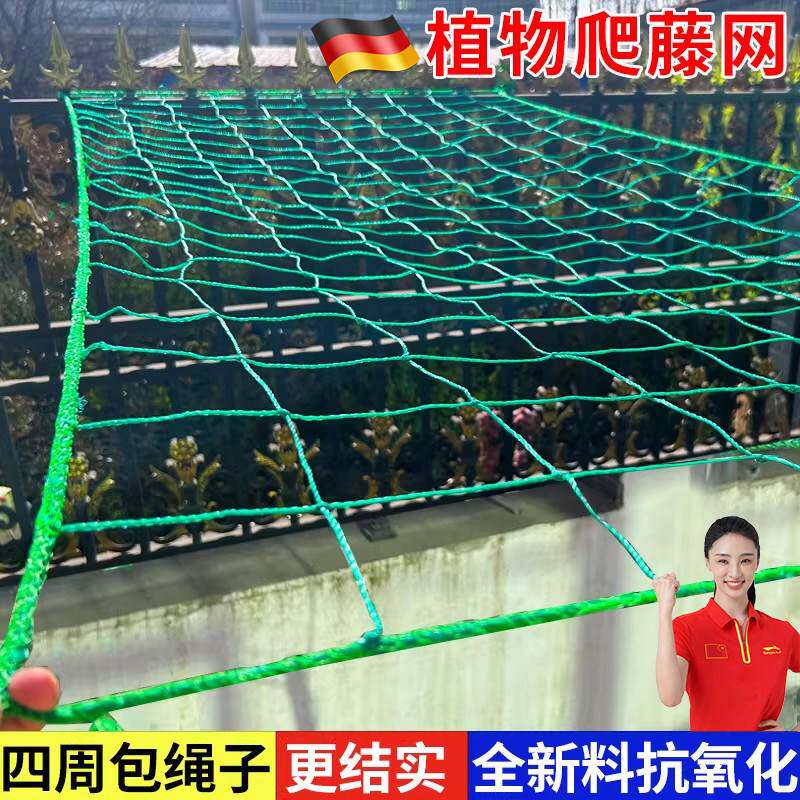 植物爬藤网攀援网园艺搭架网瓜果丝瓜苦瓜月季藤蔓花卉攀爬种植网