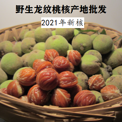 野生山桃胡雕刻浅纹正圆手串原料