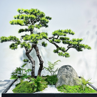 高端会所景观装饰大型落地黑松树