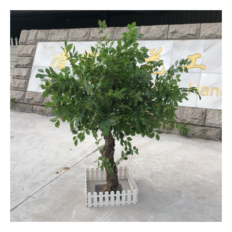 仿真桂花树高端酒店造景免打理