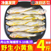 4斤舟山东海野生小黄鱼新鲜冷冻黄花鱼黄鱼冰冻鲜活海鲜水产 包邮