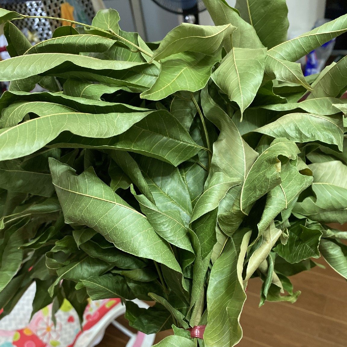 新鲜山小橘 山油柑 山柑橘 野沙柑 油饼木 木眼仔甜糖子枝叶500克