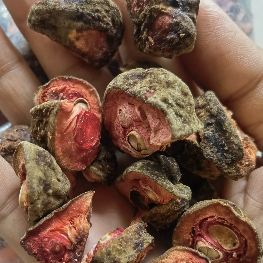 桂木果干 狗果 狗囊果 胭脂果片干直接切片晒干烘干500克泡酒