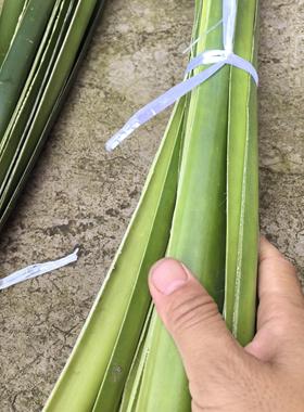 新鲜粽子叶露路芦兜簕古簕勒古假山野菠萝树鸭母粽袋笼编织带4条