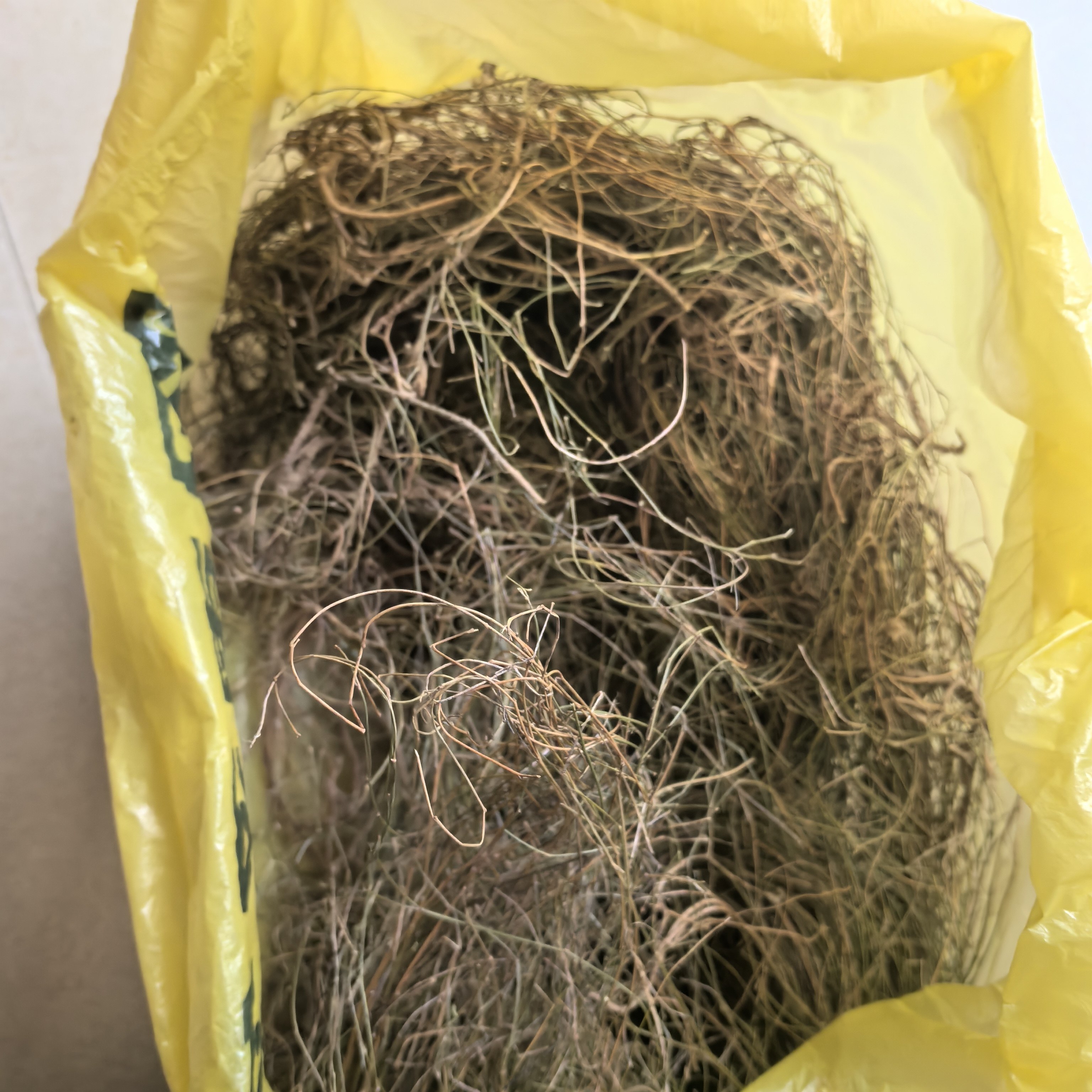 丁癸草丁贵草人字草二叶人字草苍蝇翼乌蝇翼老鸦草500克干品整草