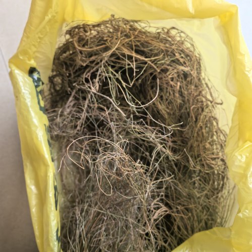 丁癸草丁贵草人字草二叶人字草苍蝇翼乌蝇翼老鸦草500克干品整草