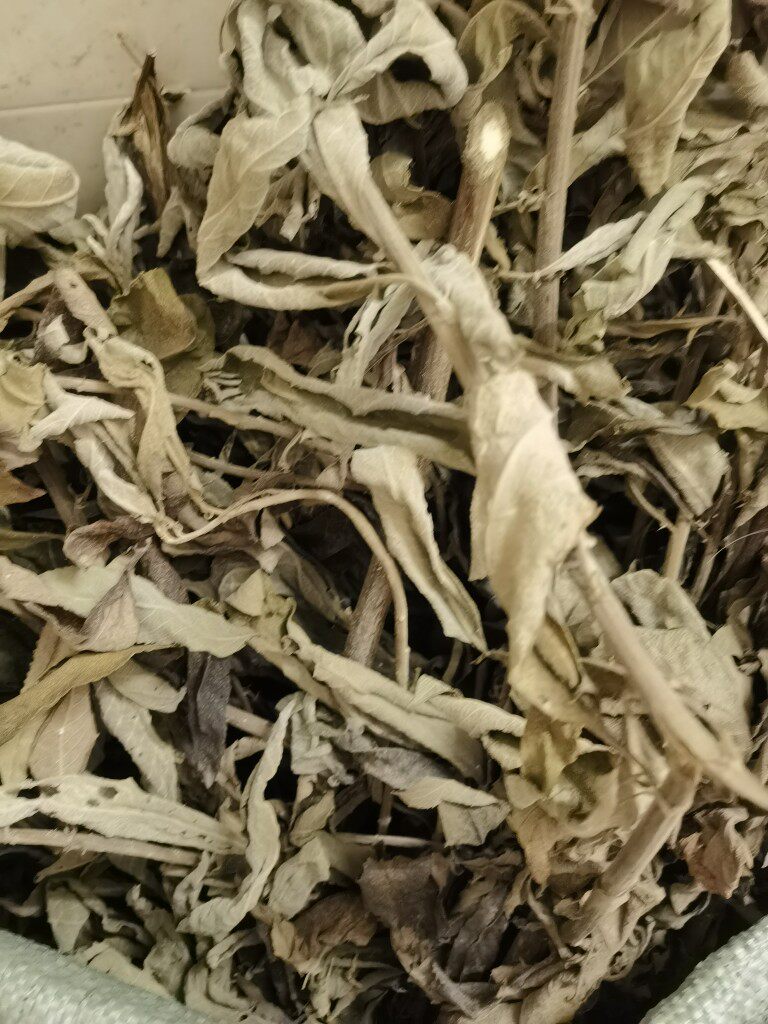 新鲜大风草干 大风艾 艾纳香牛耳艾大枫草枝叶干品500克月子洗澡