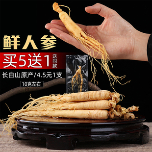 鲜人参长白山带土新鲜人参正品白人参须吉林保鲜参片买五送一煲汤