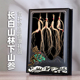 新款 整根人参煲汤滋补品送长辈礼品 林下参礼盒长白山野山参礼盒装