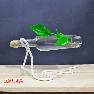 簡(jiǎn)約水培玻璃花瓶透明水養(yǎng)植物擺件插花柜玄關(guān)工藝品裝 飾家居懸浮