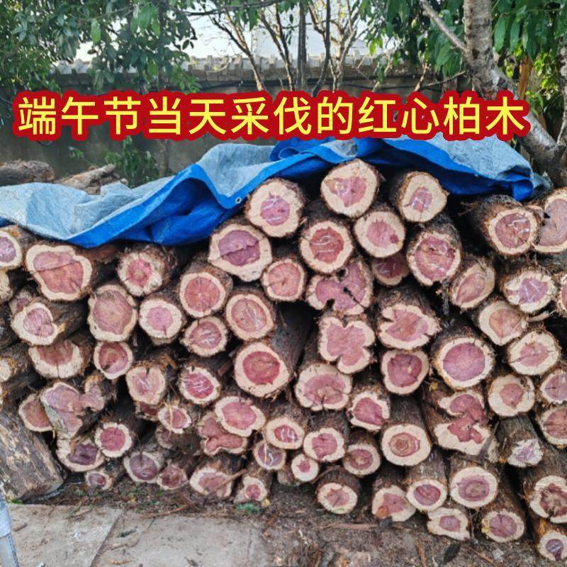 农历端午节五月初五当天采伐的红心柏木古法木枕材料赤柏血柏香柏