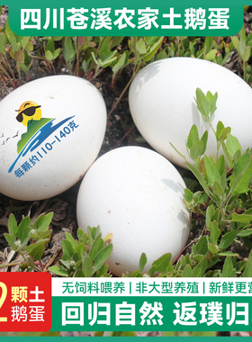 四川苍溪鹅蛋农家散养新鲜110-140克孕妇儿童天然正宗农村土鹅蛋